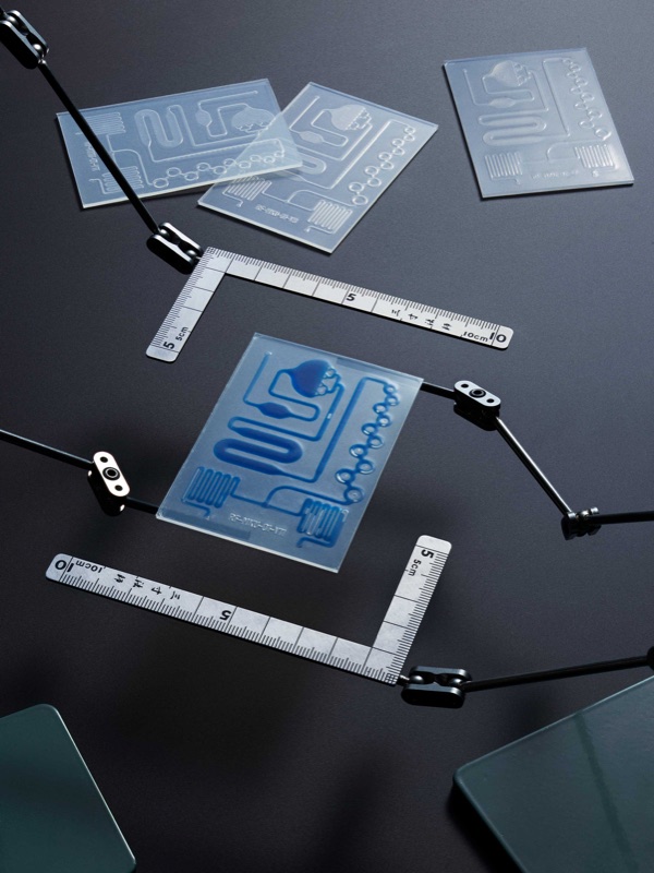 Microfluidic chips